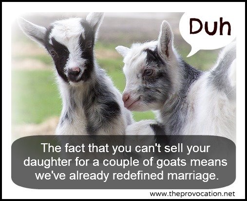 gop-marriage-goats-3.jpg